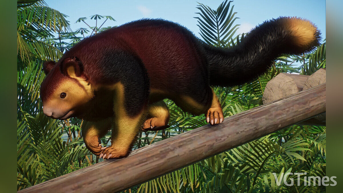 Planet Zoo — Indian giant squirrel - new species