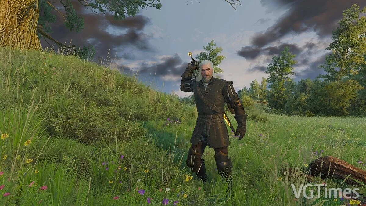 The Witcher 3: Wild Hunt - Complete Edition — Espada envainada después de la batalla.