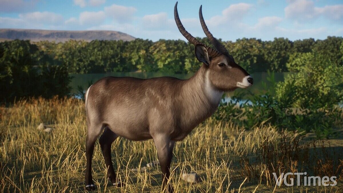 Planet Zoo — Common waterbuck - new species