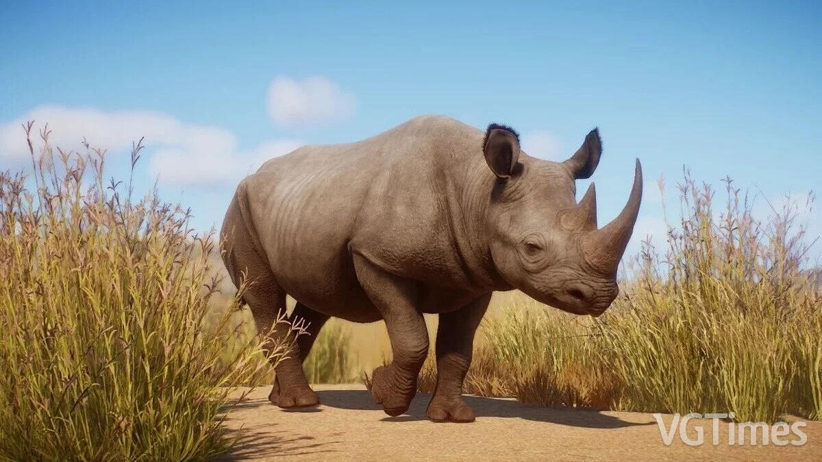 Planet Zoo — Remasterización de Rinoceronte Negro