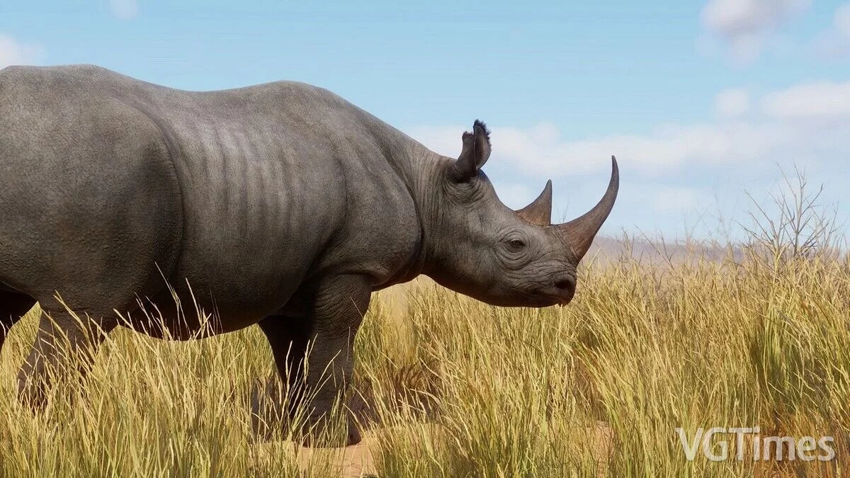 Planet Zoo — Ремастер Черного носорога