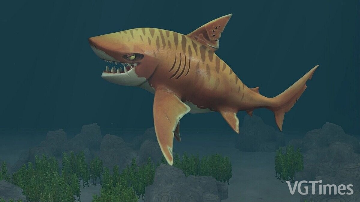 Zoo Tycoon 2 — Tiger shark (new species)