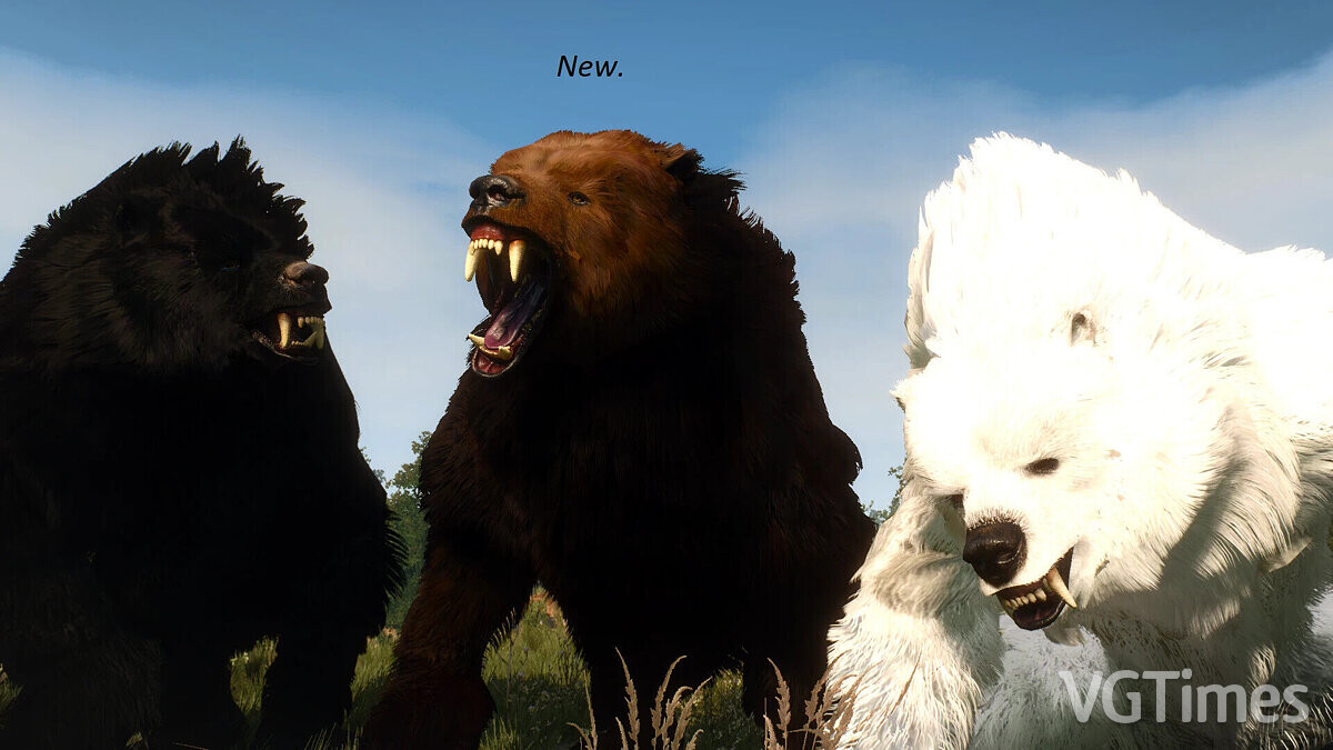 The Witcher 3: Wild Hunt - Complete Edition — Improved bear textures