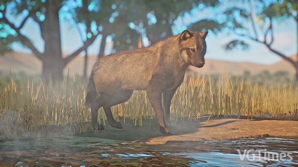 Planet Zoo — Dire wolf - new species