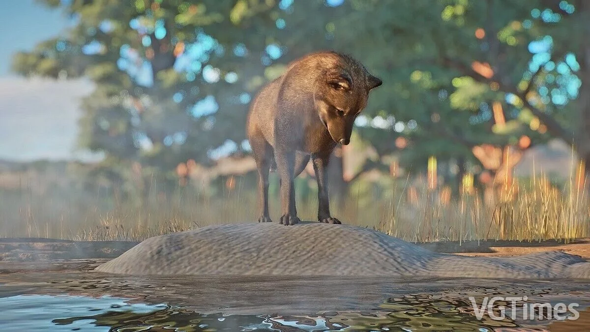 Planet Zoo — Жахливий вовк — нові види