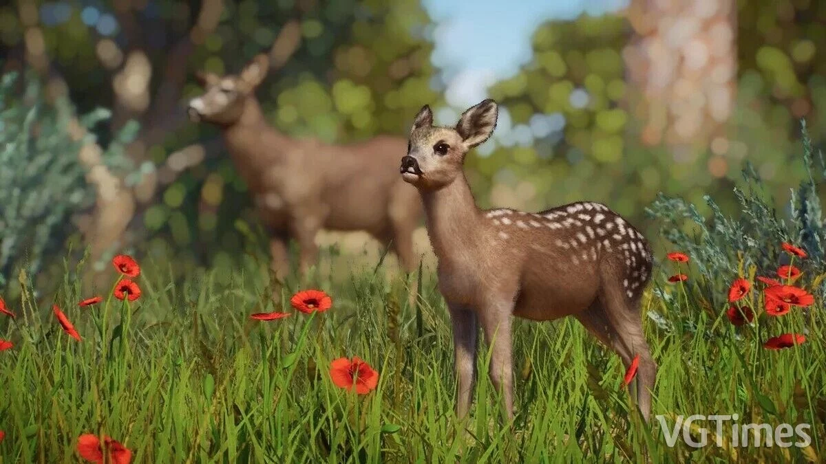 Planet Zoo — Andalusian roe deer - a new species