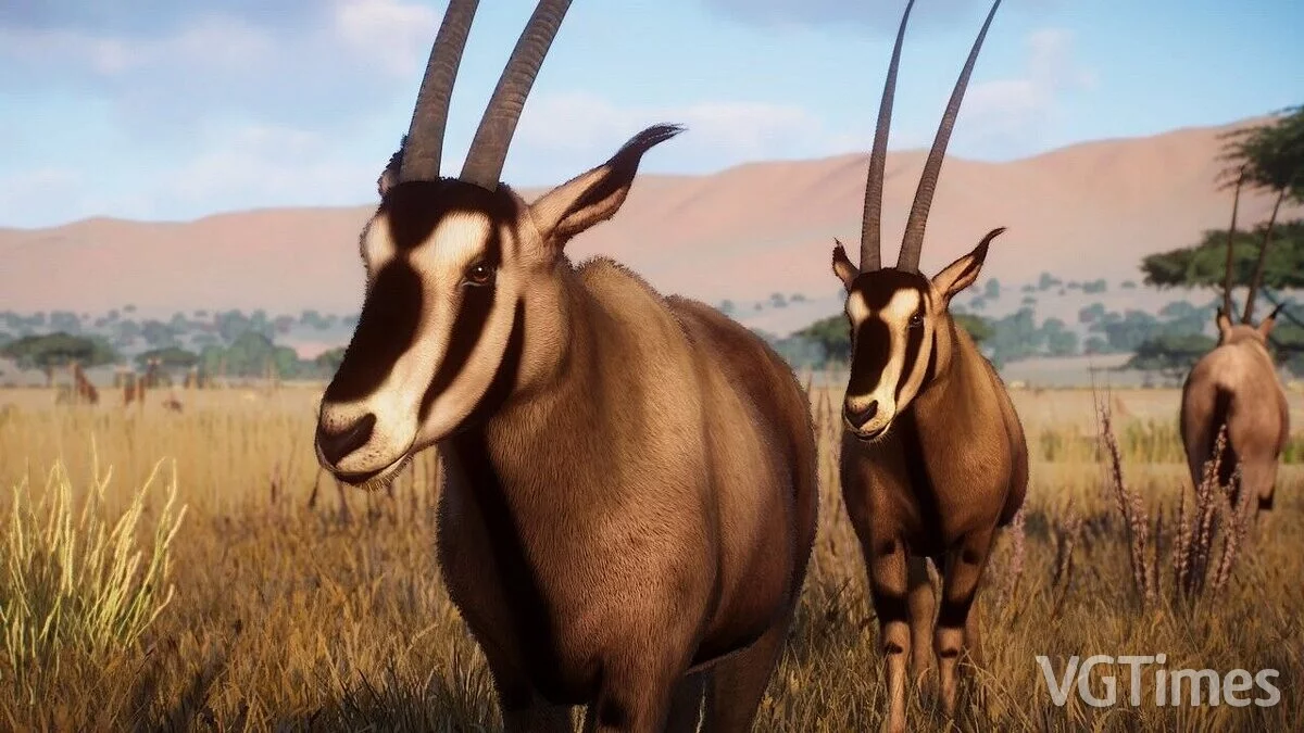 Planet Zoo — Oryx de orejas con flecos - nueva especie