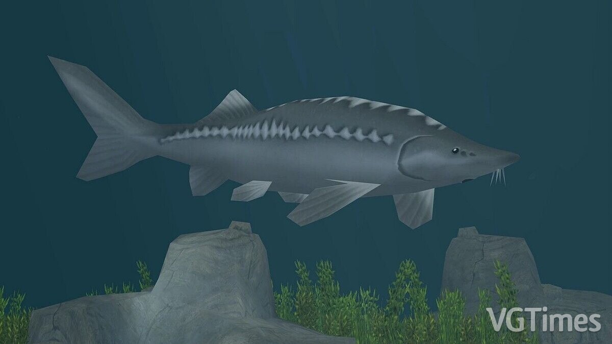 Zoo Tycoon 2 — Beluga (new species)