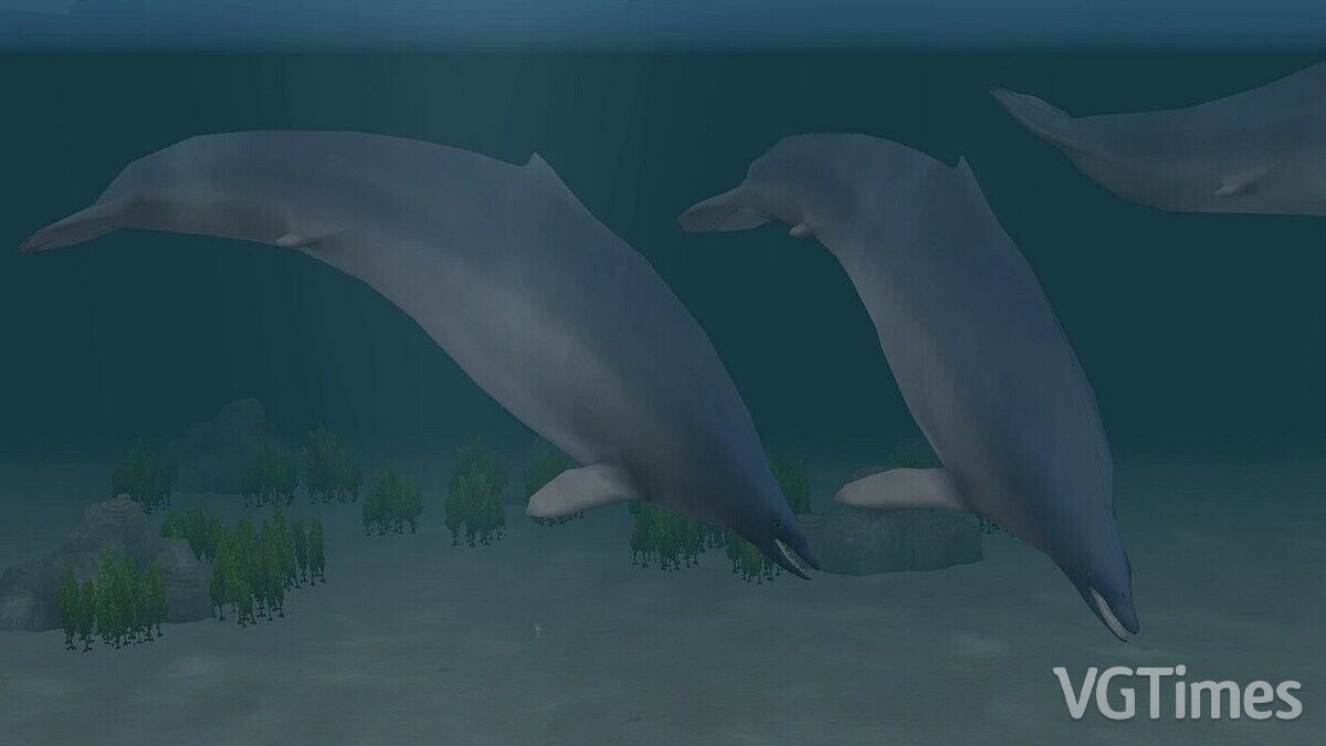 Zoo Tycoon 2 — Whale from Peru (new species)