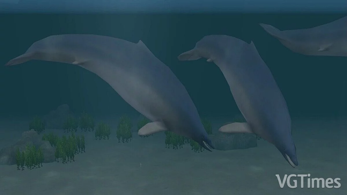 Zoo Tycoon 2 — Baleine du Pérou (nouvelle espèce)