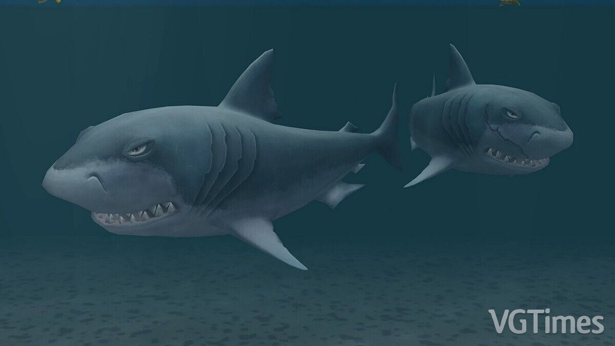 Zoo Tycoon 2 — Megalodon (new species)