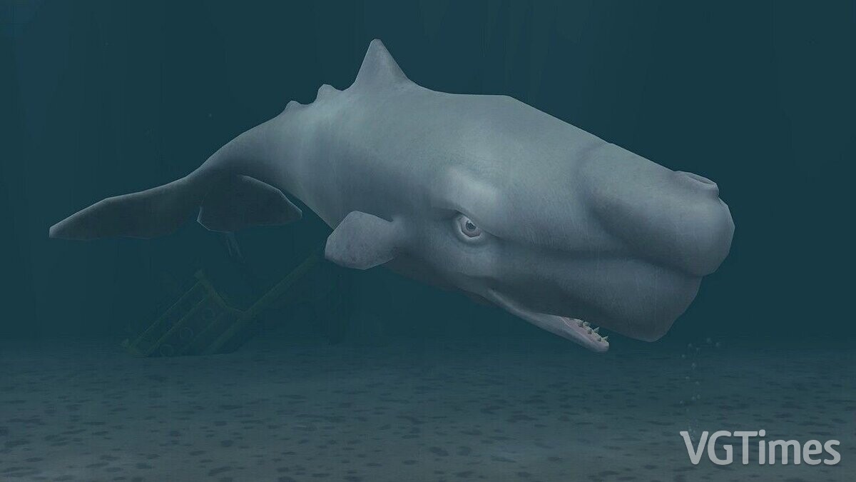 Zoo Tycoon 2 — Moby Dick (new species)