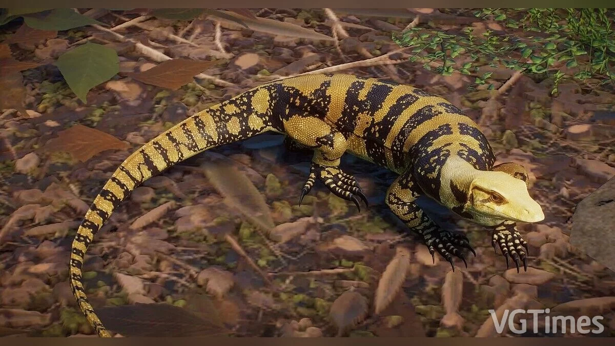 Planet Zoo — Monitor de agua de cabeza amarilla - nueva especie