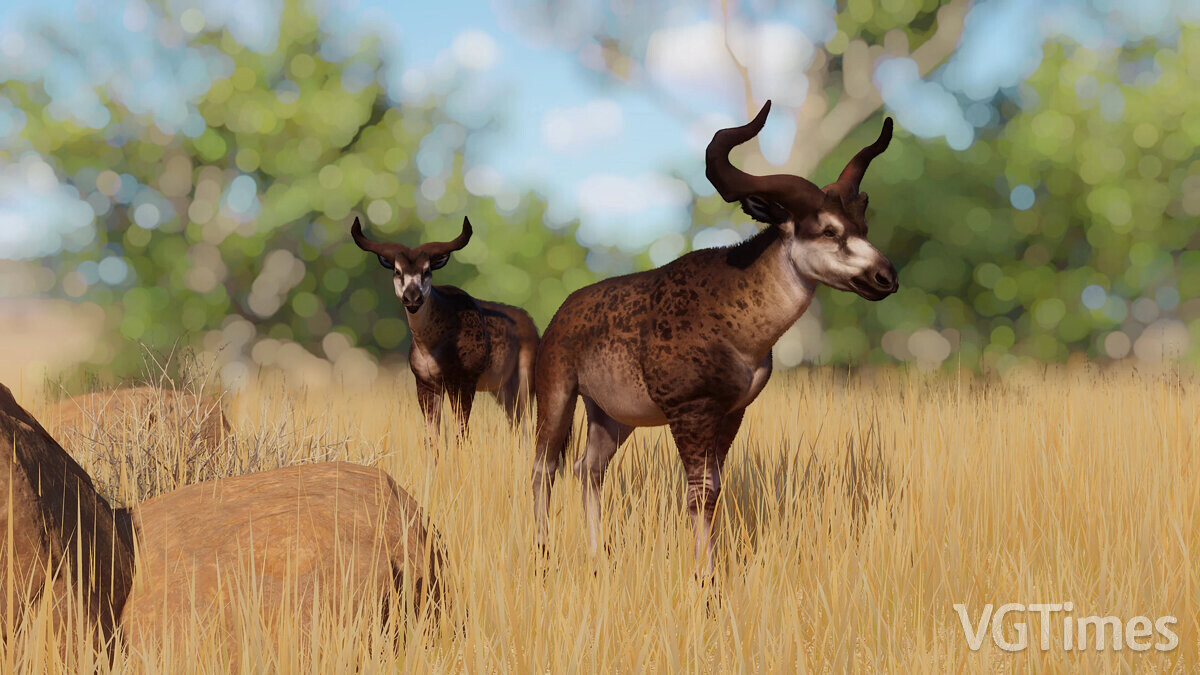 Planet Zoo — African sivater - an extinct new species