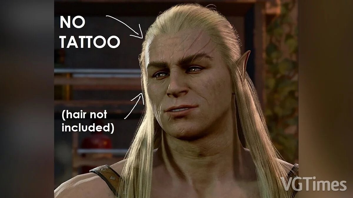 Baldur&#039;s Gate 3 — Halsin without tattoos