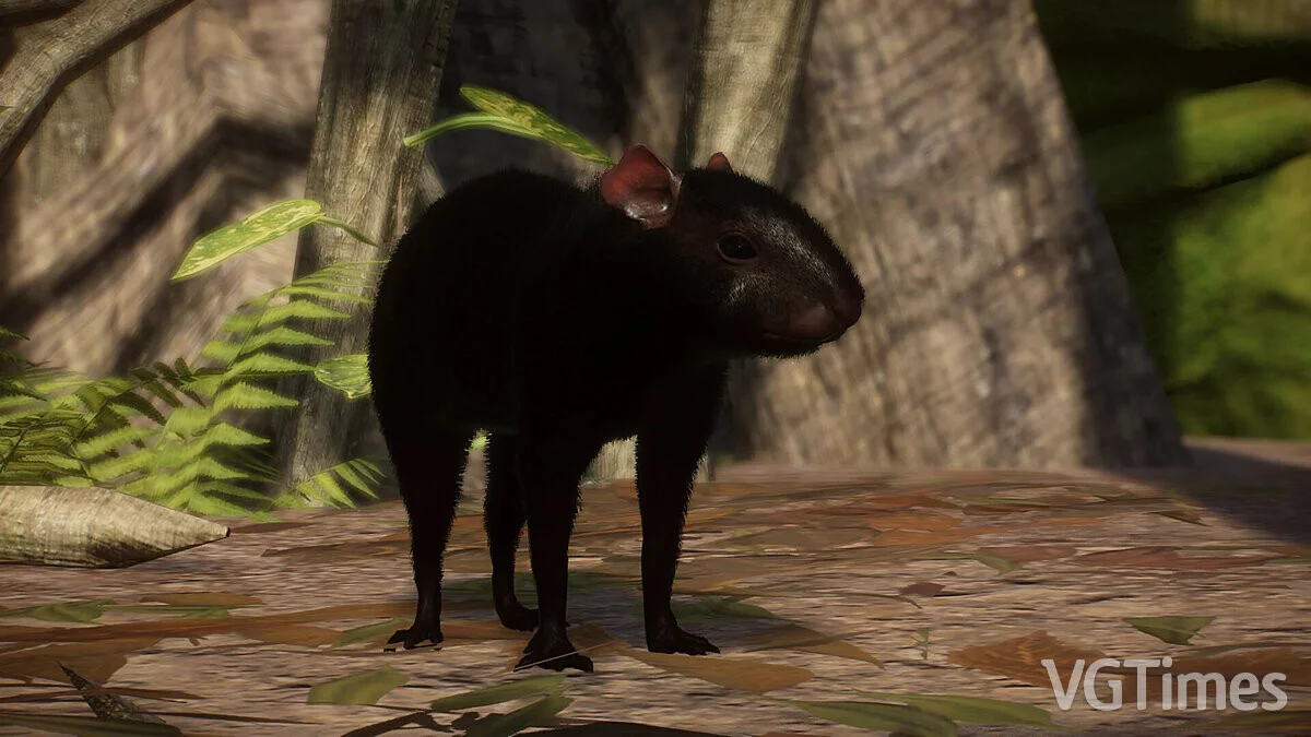 Planet Zoo — Хохлатая агути — новые виды