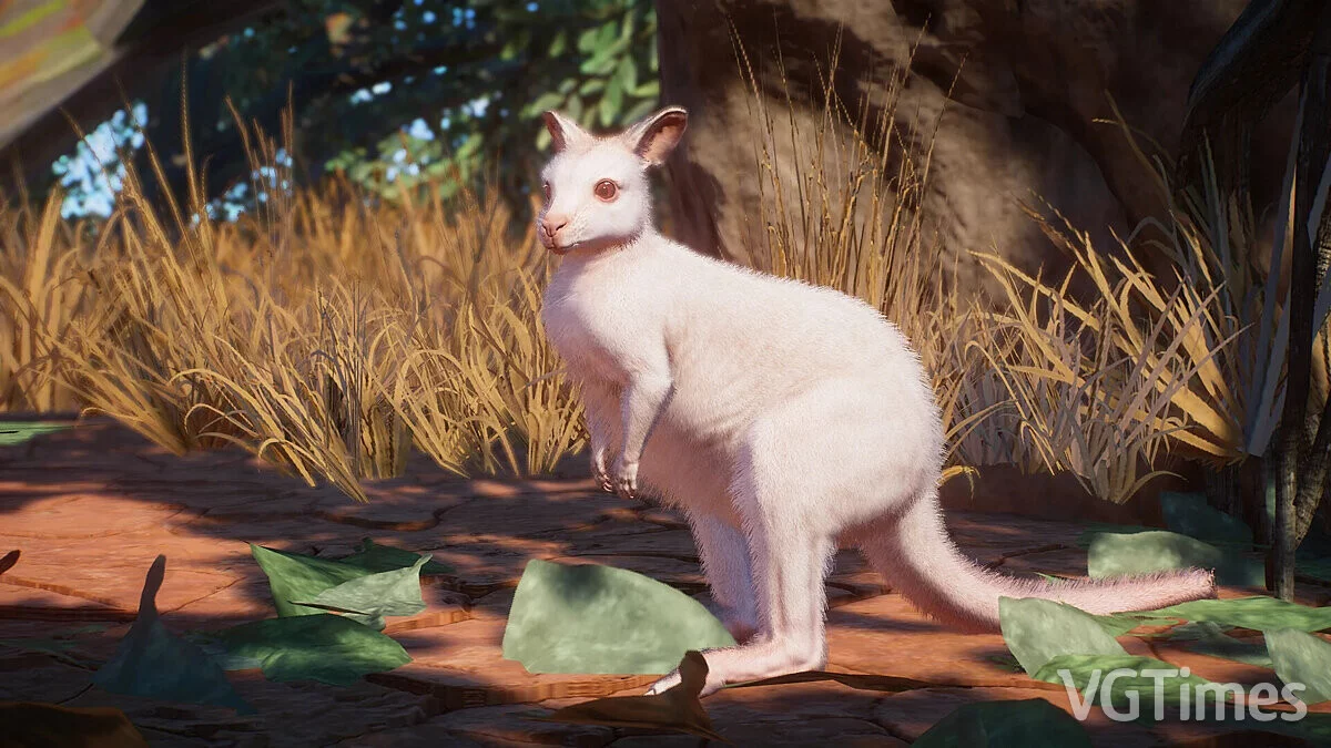 Planet Zoo — Parma wallaby - new species