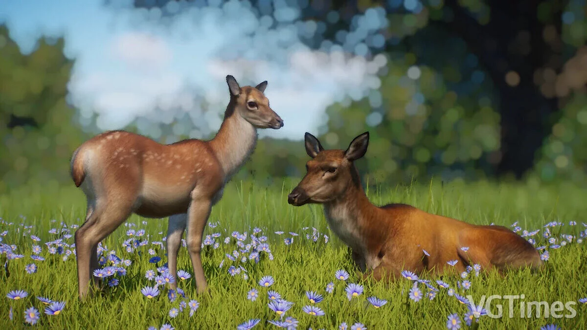 Planet Zoo — Кустарниковорогий олень - новый вид