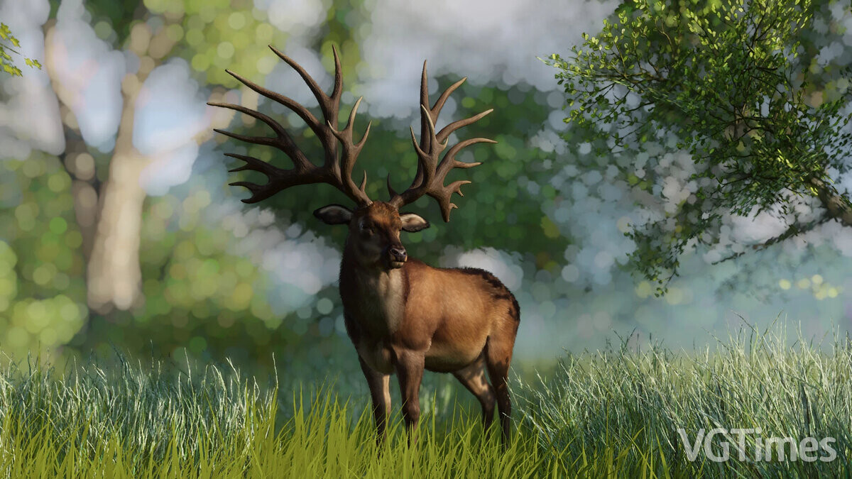 Planet Zoo — Bush-horned deer - a new species