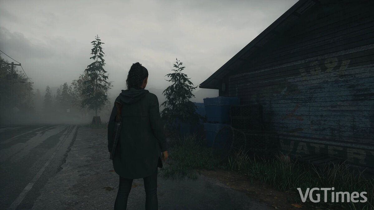 Alan Wake 2 — Less blur