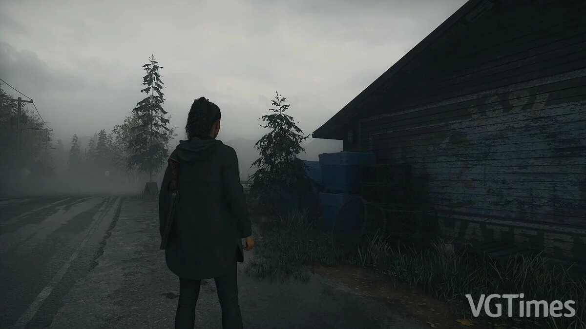 Alan Wake 2 — Менше розмиття