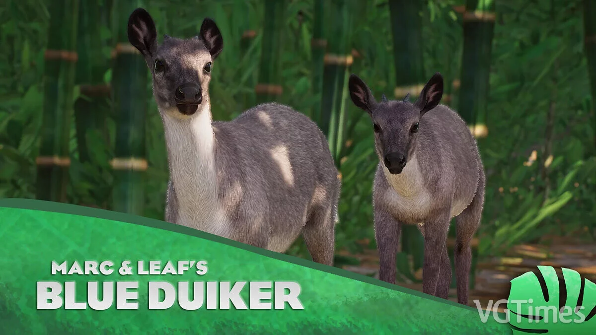 Planet Zoo — Blue Duiker - new species