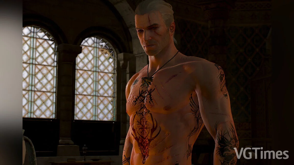 The Witcher 3: Wild Hunt - Complete Edition — Tattoos for Geralt