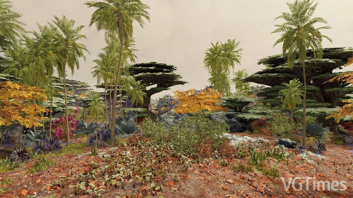 Starfield — Терраформированная Вектера