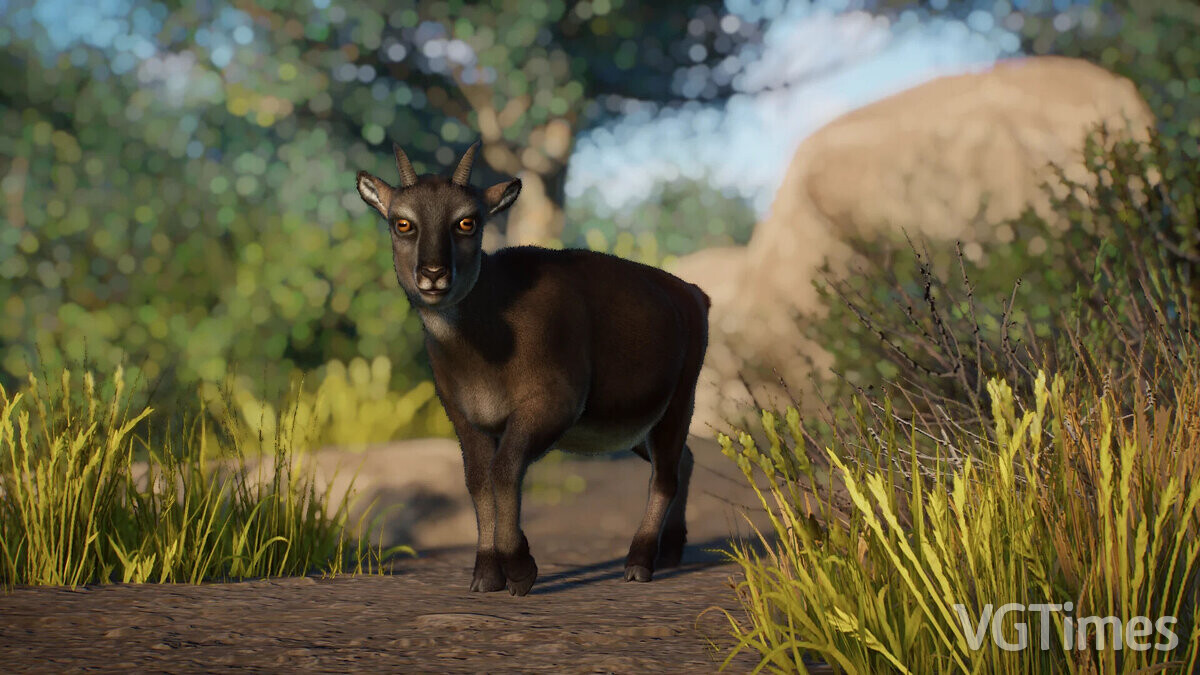 Planet Zoo — Balearic cave goat - a new extinct species