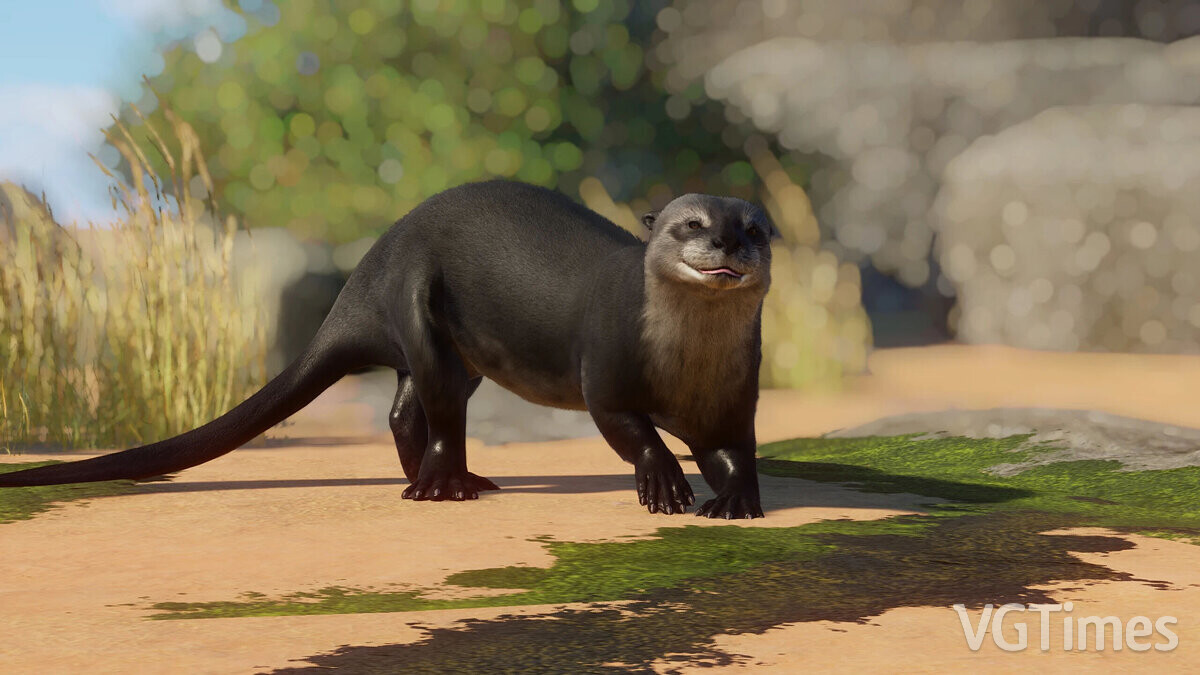 Planet Zoo — Sardinian giant otter - a new extinct species