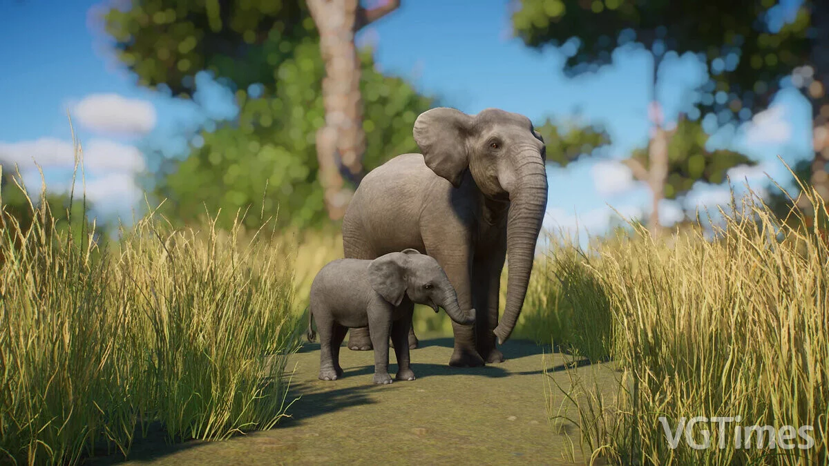 Planet Zoo — Sicilyalı Cüce Fil - Yeni Yok Olmuş Tür