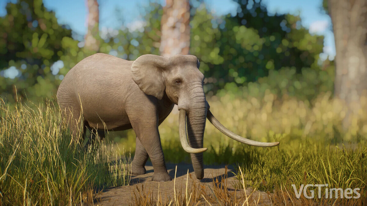 Planet Zoo — Sicilian pygmy elephant - a new extinct species