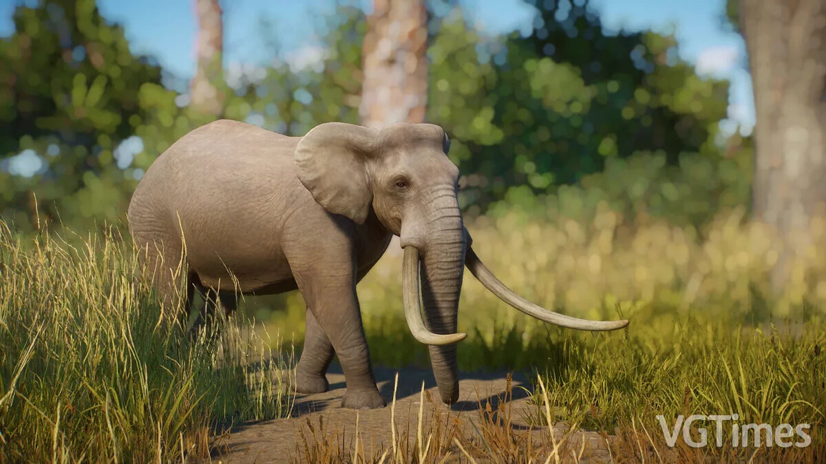 Planet Zoo — El elefante pigmeo siciliano: una nueva especie extinta