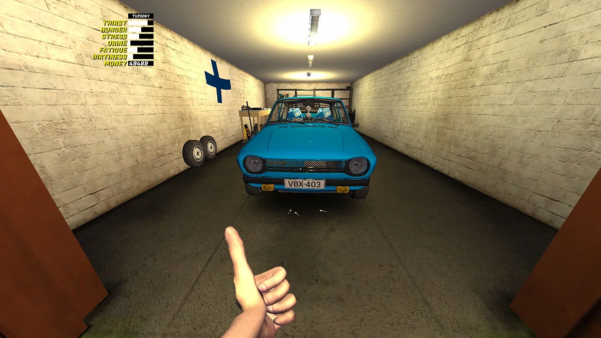 My Summer Car — Medio satsuma, 500.000 marcas.