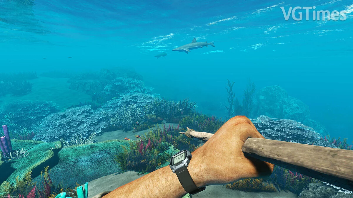 Stranded Deep — Saving [Epic License]