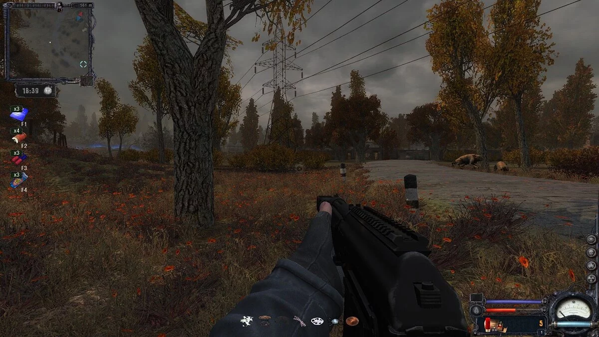 S.T.A.L.K.E.R.: Call of Pripyat — İstisna