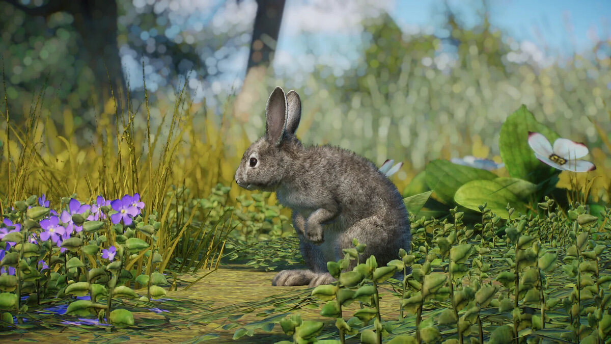 Planet Zoo — European rabbit - a new species