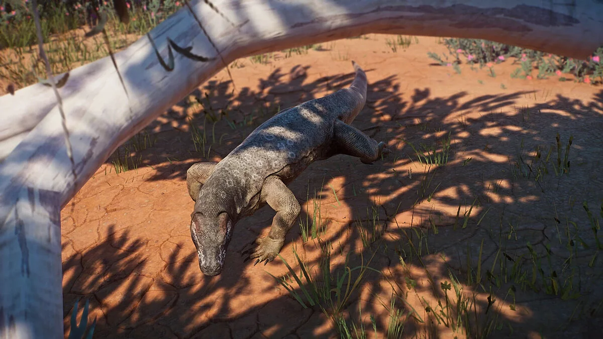 Planet Zoo — Мегалонія - новий вимерлий вид