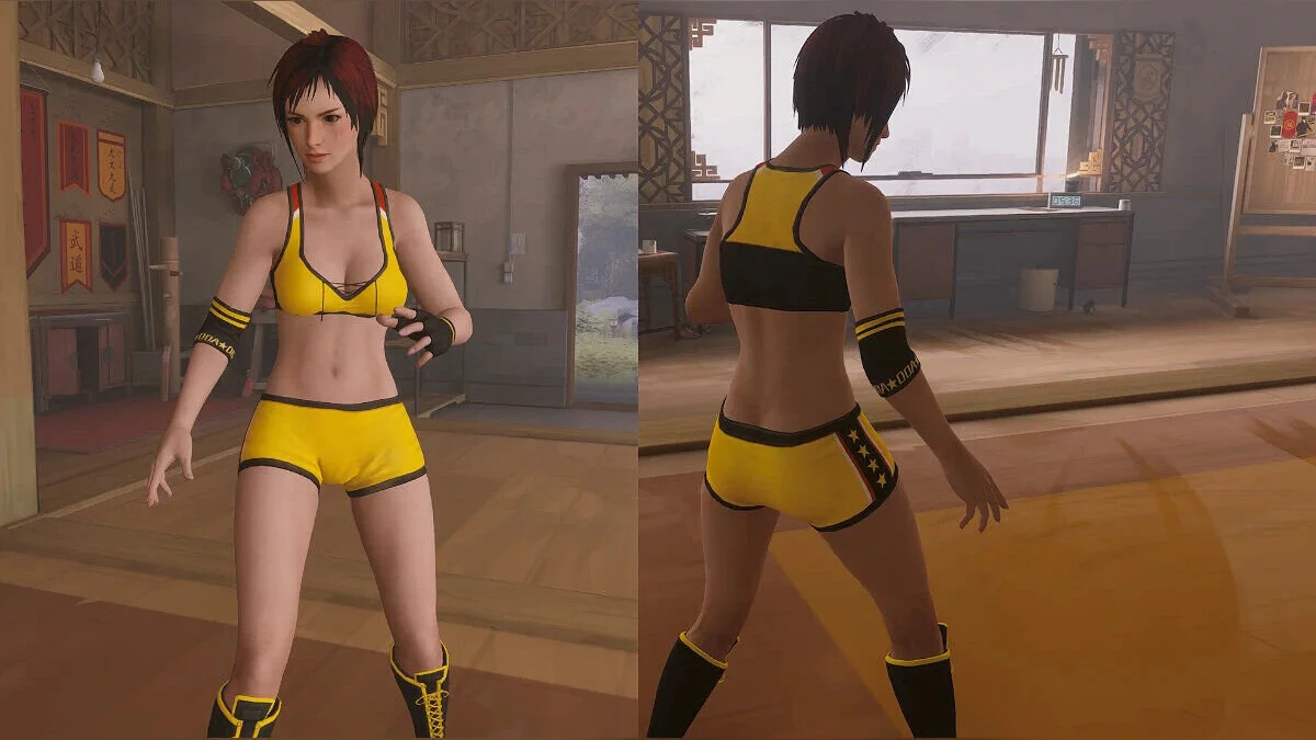 Sifu — Mila del juego Dead Or Alive 6