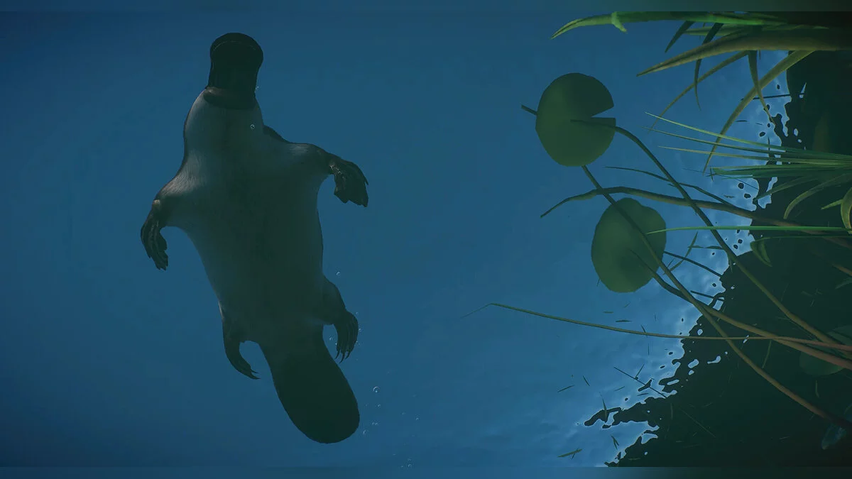 Planet Zoo — Обдуродон - новий вимерлий вид