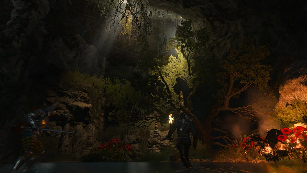 The Witcher 3: Wild Hunt — Witcher 3: Çok Yırtıcı Av