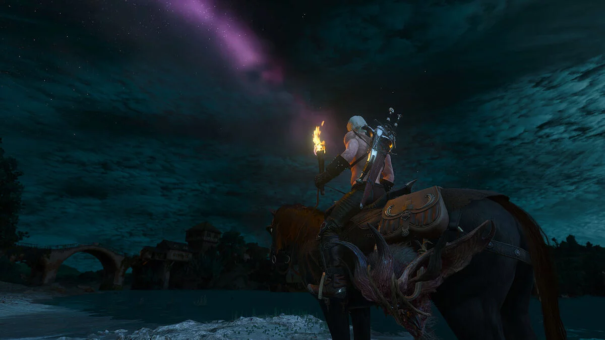 The Witcher 3: Wild Hunt — Witcher 3: Çok Yırtıcı Av