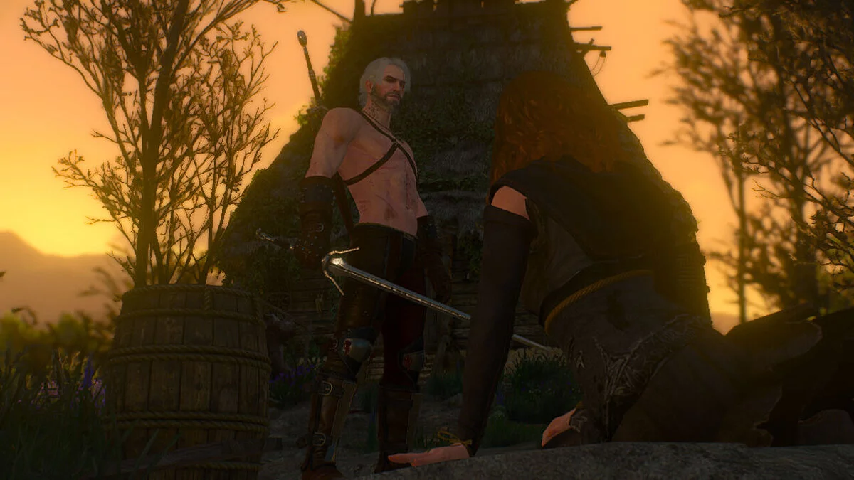 The Witcher 3: Wild Hunt — Witcher 3: Çok Yırtıcı Av