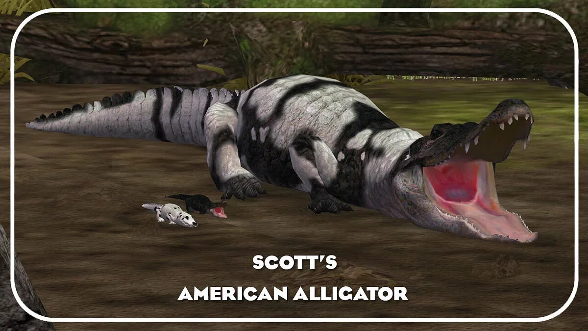 Zoo Tycoon 2 — American alligator