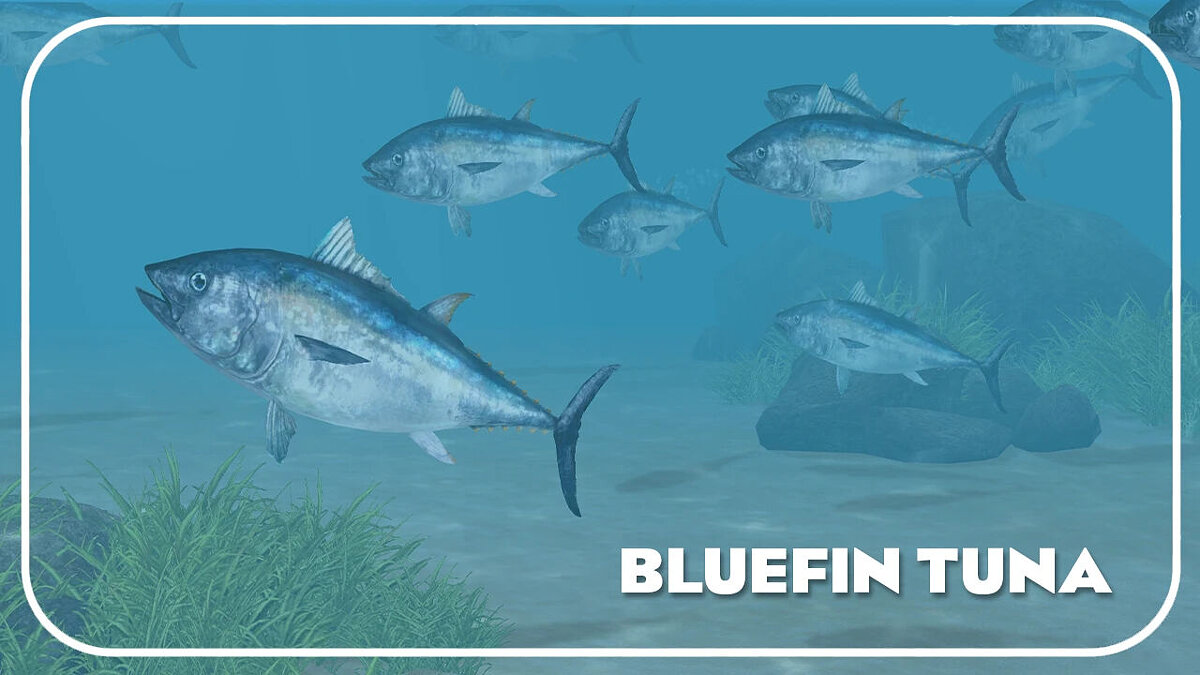 Zoo Tycoon 2 — Atlantic bluefin tuna (new species)