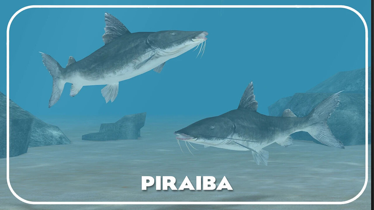 Zoo Tycoon 2 — Piraiba (new species) - freshwater