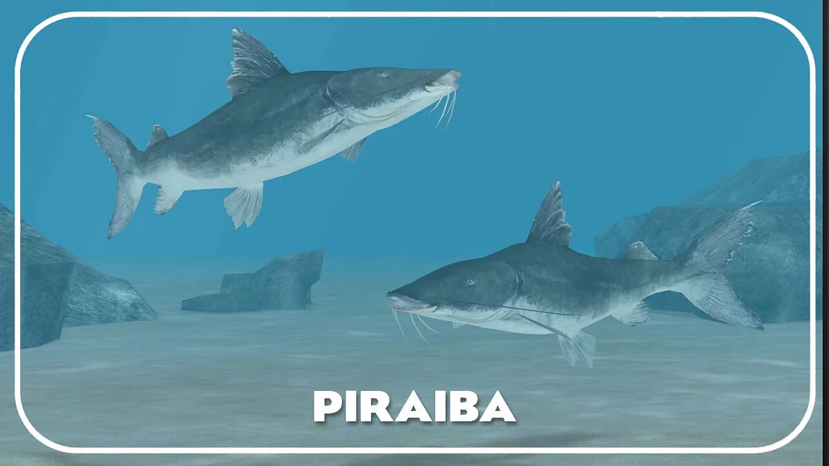 Zoo Tycoon 2 — Piraiba (new species) - freshwater