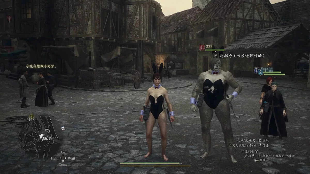 Dragon&#039;s Dogma 2 — Костюм зайця для жінок