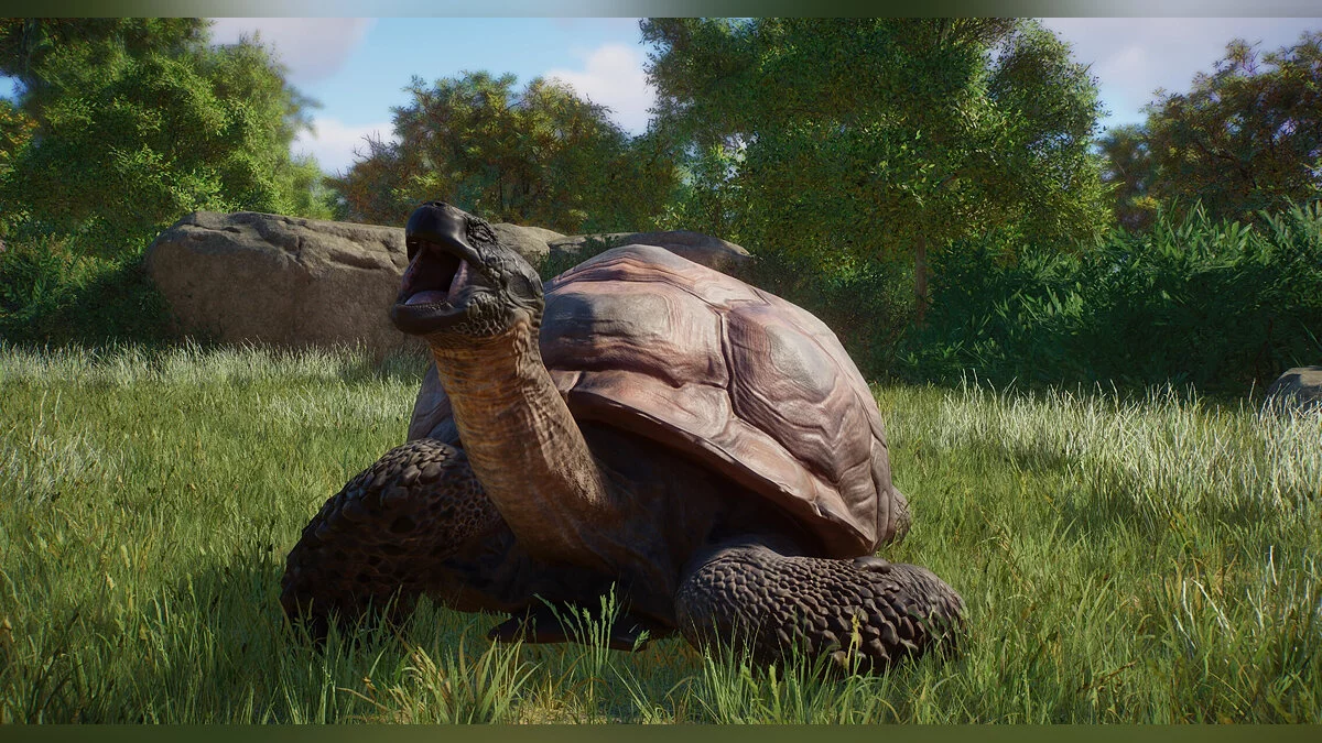 Planet Zoo — Die Satinschildkröte ist eine neue vom Aussterben bedrohte Art