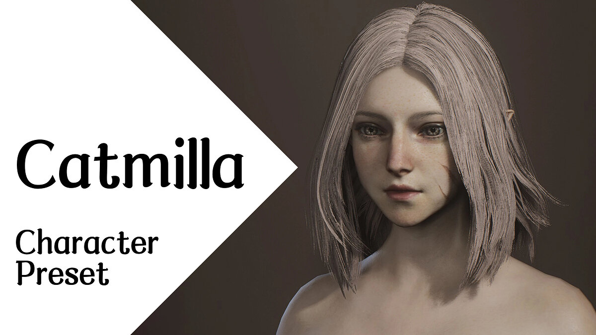 Dragon&#039;s Dogma 2 — Catmilla - character preset